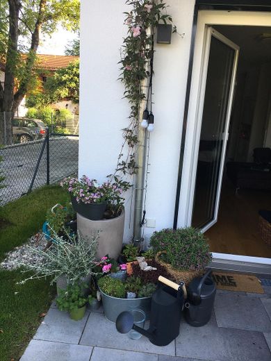 Terrasse und Türe