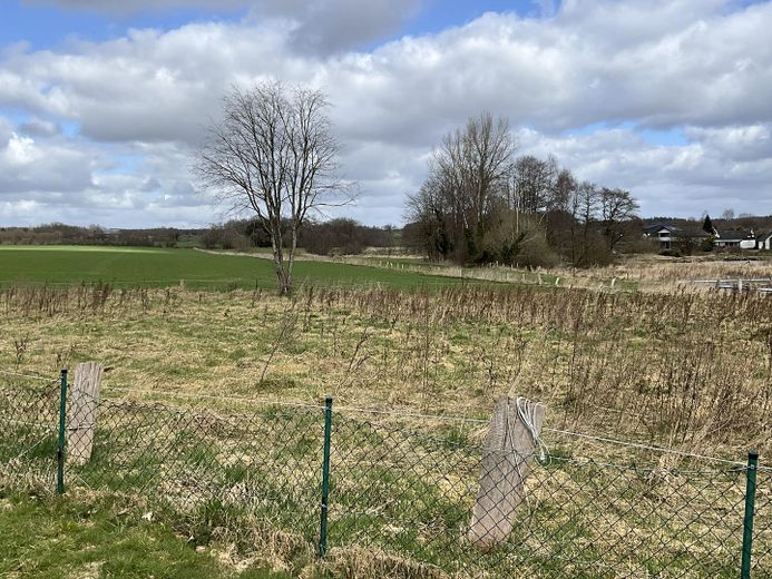 Einfamilienhaus in Fitzbek - ohne Makler - Feldrandlage – Foto 2