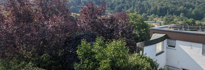 Blick vom Haus