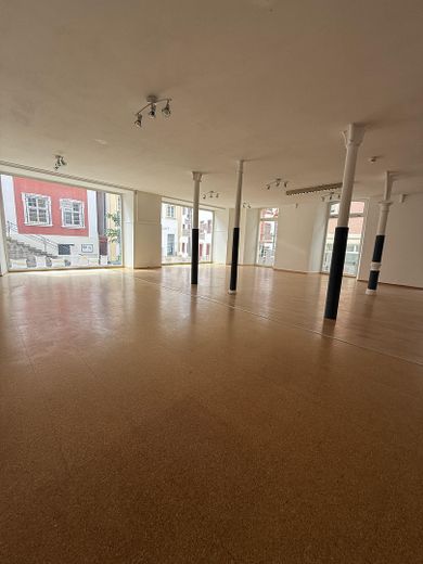 Landesgartenschau 1 Million Gäste , Laden an Fußgängerzone + Marktplatz, Präsentation zur LGS! – Foto 41