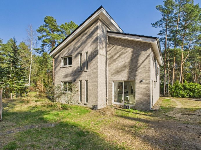 Charmante und energieeffiziente Architektenvilla mit hochwertiger Ausstattung – Hausrückansicht