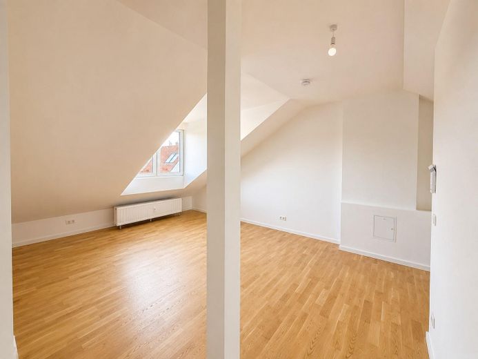 Appartamento mansardato al primo ingresso con splendida terrazza sul tetto – Wohnzimmer