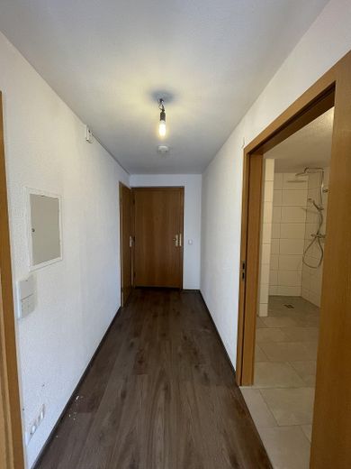 Diele Richtung Hauseingang