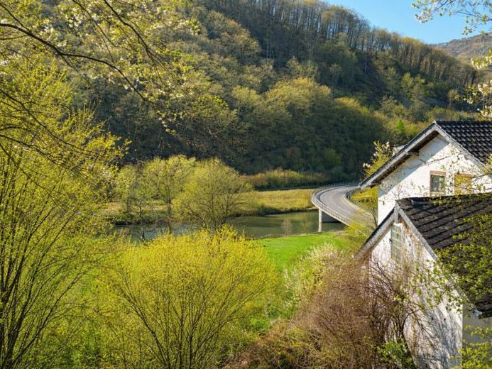 Traumgrundstück in sonniger Randlage von Dausenau – Foto 1