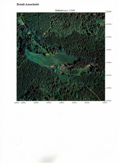 Paraíso rural/ bosque-pradera-agua – Grundstück Blauer Umriss