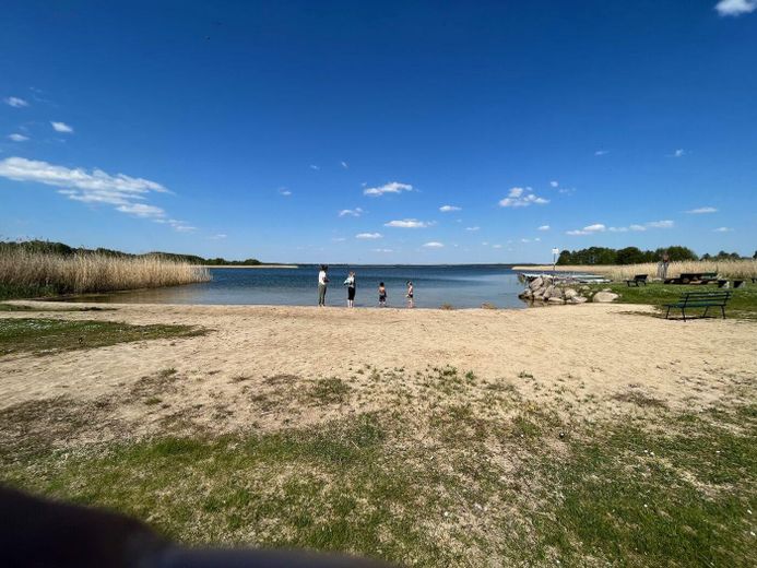 Haus am See mit Gründach – Badestelle