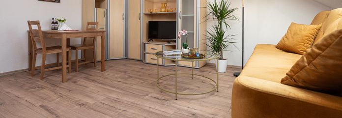 Wohnzimmer mit Schlafsofa