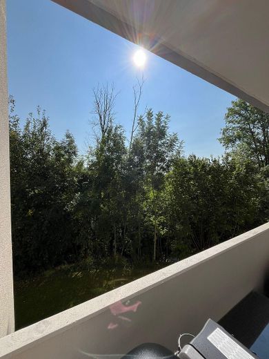 Blick ins Grüne vom Balkon