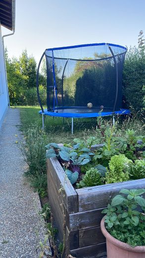 Garten UG