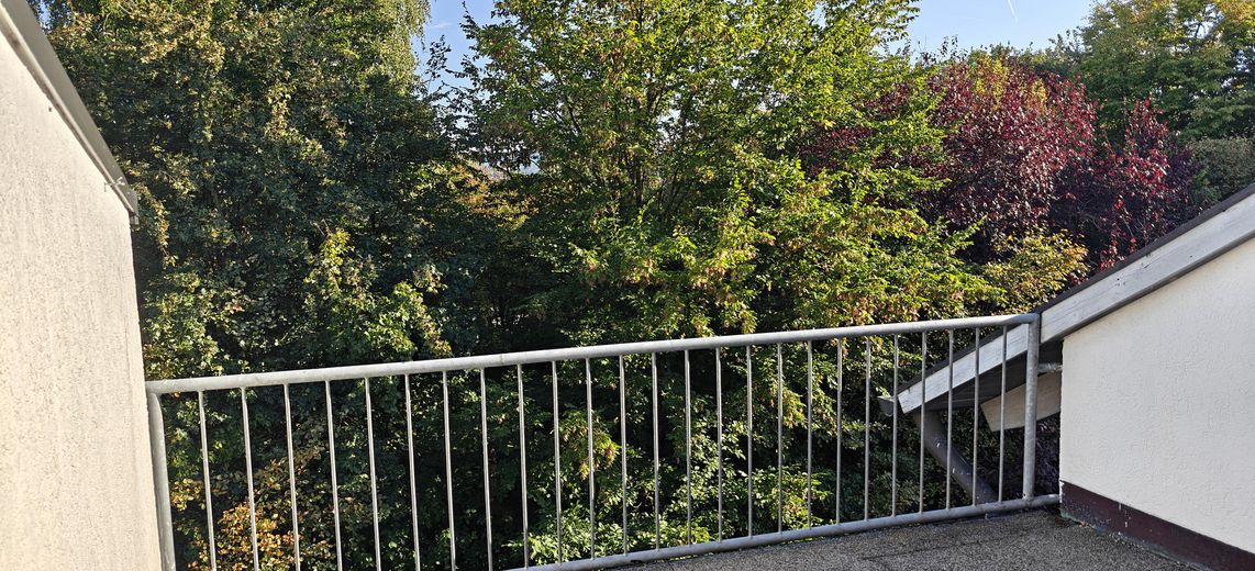 Blick vom Balkon / Terasse