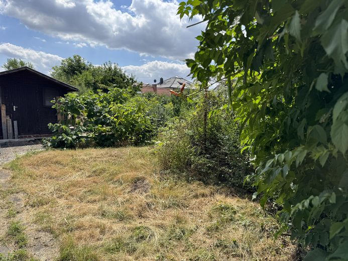 Wohnbaugrundstück mit kleinem Einfamilienhaus und Neubauperspektive • provisions- und bauträgerfrei – Garten auf der Rückseite