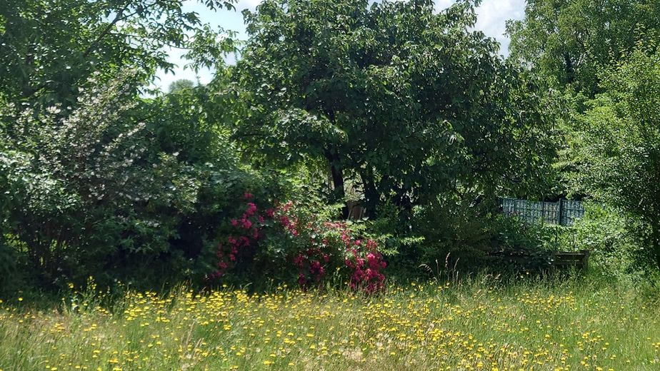 Charmantes Mehrfamilienhaus / Mehrgenerationenhaus freistehend mit großem Garten in Traisa – Foto 30
