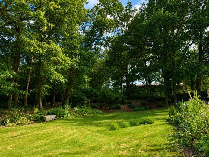 Naturgrundstück mit Baumbestand in Bad Bevensen-Röbbel – 1.840 m² Grundstücksfläche – Foto 1