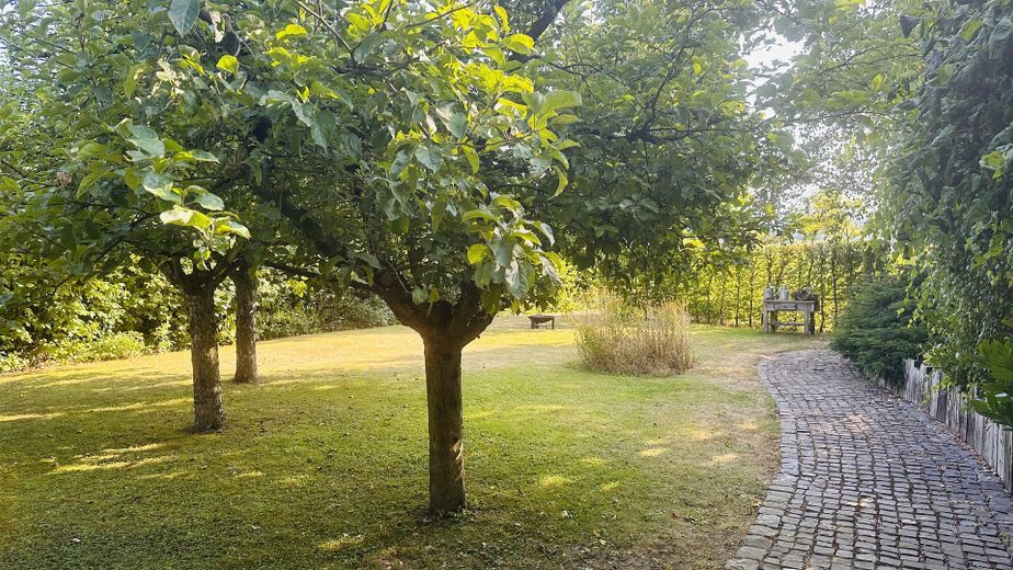 Traumhafte ca. 135 m² große Wohnung mit Garten, Balkon und Garagenstellplatz – Garten