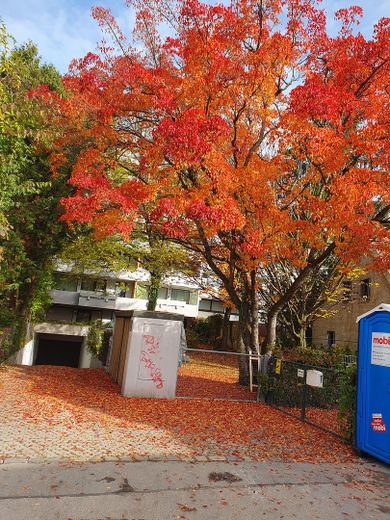 Blick und Zufahrt von Süden