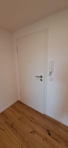 4ZKB Kernsaniert | Klima | Handschuhsheim mit Süd-West-Blick – Eingang mit RC-Sicherheitstüre