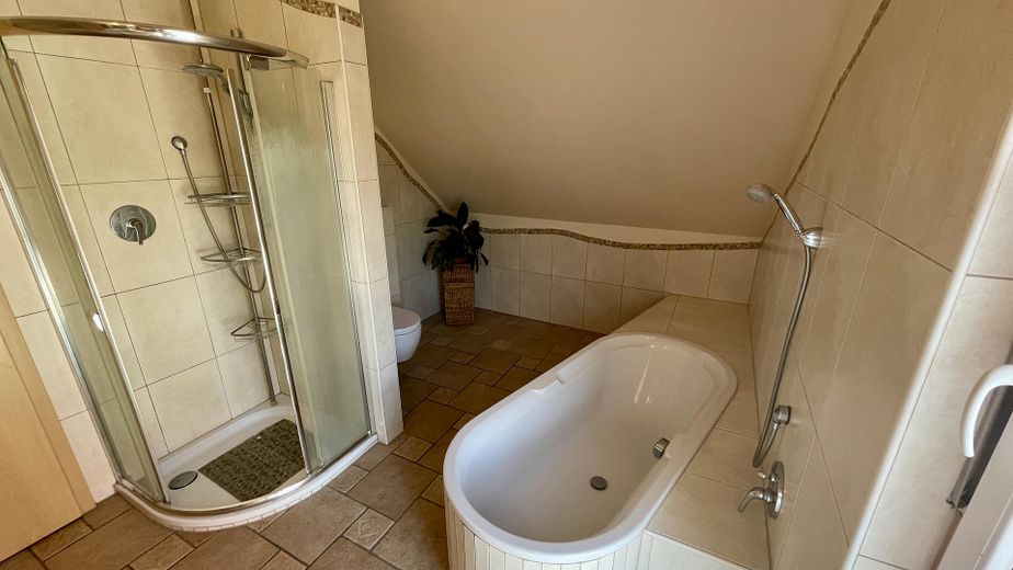 geräumige Dusche und WC-Nische
