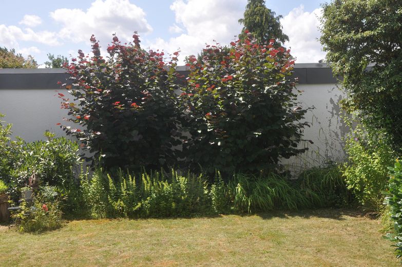 Garten2