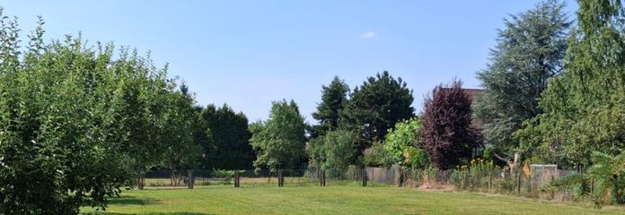 Großzügiges Familiengrundstück in Ammelshain – ca.1.150 m² auch für ein Doppelhaus geeignet
