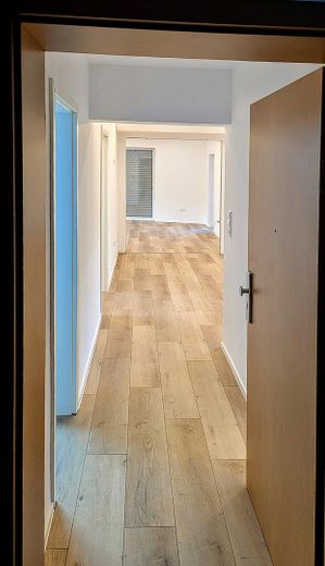 Erleben Sie eine einzigartige Traumwohnung mit eigenem Whirlpool und Klimatisiert in Mannheim – Foto 8