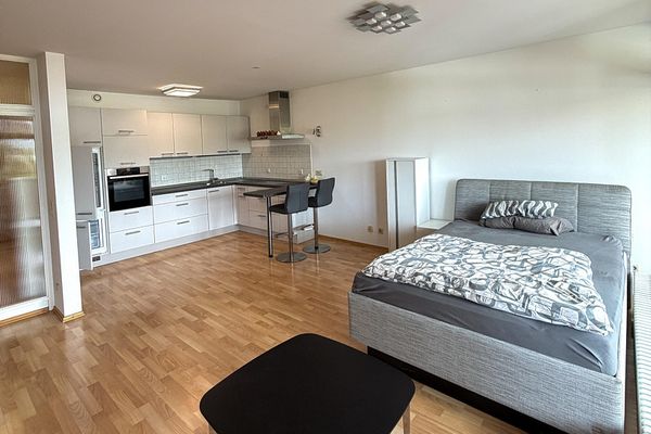 Charmant appartement meublé d’une pièce avec loggia