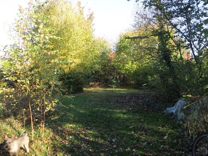 Verkaufe schönes Einfamilienhaus in Lichtenrade mit großem Garten von Privat ohne Makler – Garten hinten