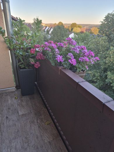Kapitalanlage mit Zukunft – modernisierte Wohnung mit Balkon, PV-Anlage & Rückmietung – Foto 1