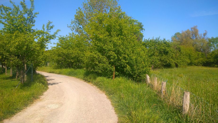 Radweg Richtung Maschsee