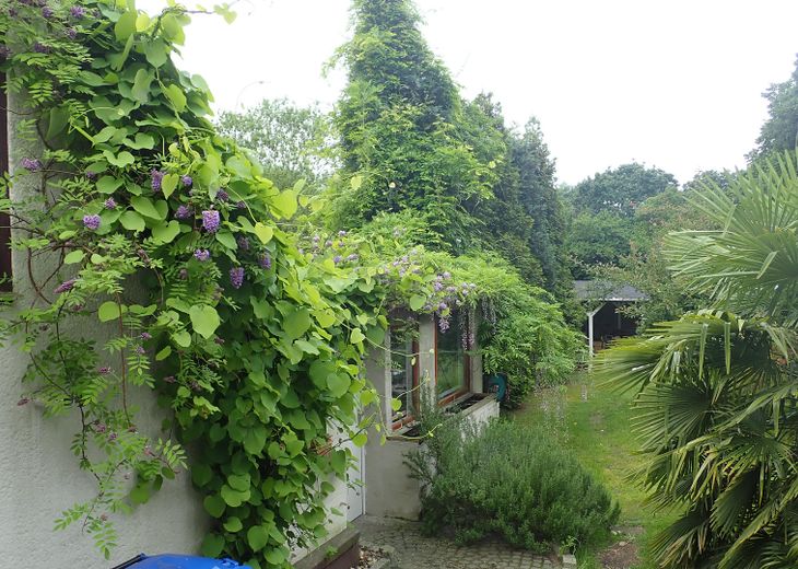 Gepflegte Doppelhaushälfte in Duisburg-Bergheim – Garten m. Nebengebäude