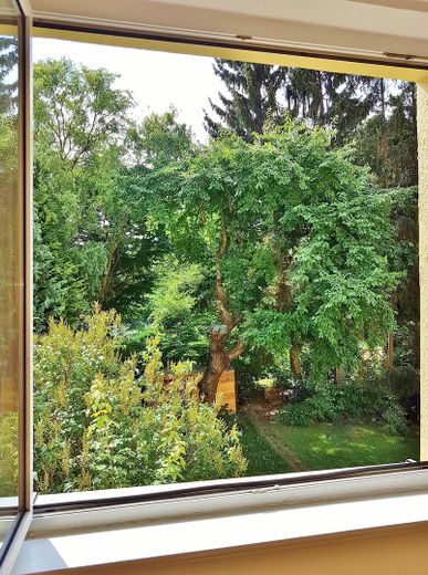 Moritzberg, gutes Wohnen in ruhigem Haus – Ausblick Zimmer II