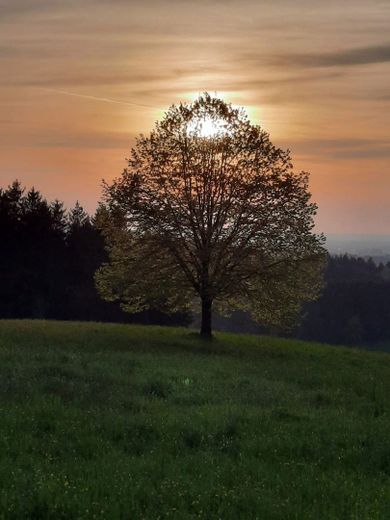 Sonnenuntergang Frühjahr