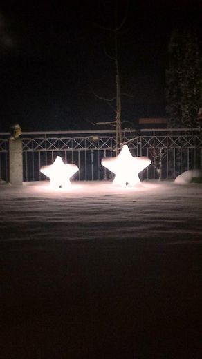 Garten im Winter
