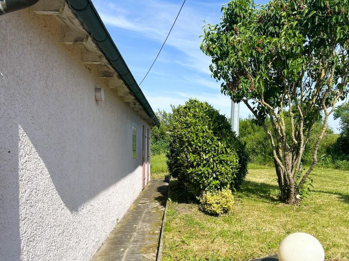 Garten 2