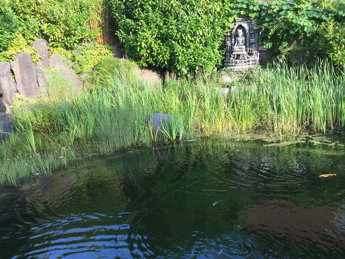 Schwimmteich 