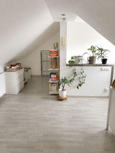 Charmantes Hinterhaus in zentraler Lage mit Stellplatz – ideal für Paar oder Zweier-WG – Wohn-Ess Bereich DG