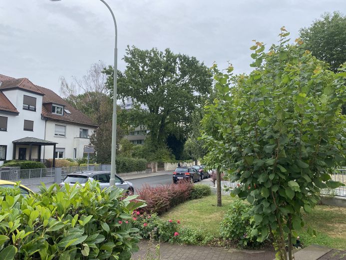 Frankfurt Praunheim Zentrale Lage 3 Zimmer Erdgeschoss mit Garten – Foto 5