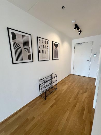 Möblierte 2-Zimmer-Wohnung in erster Reihe zum Main – Flur/Eingangsbereich