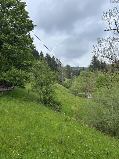 "Sonnenplateau" Grundstück mit Baugenehemigung in Traumlage im Herzen des Oberallgäus – Foto 7