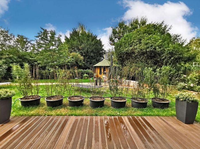 Blick in den Garten