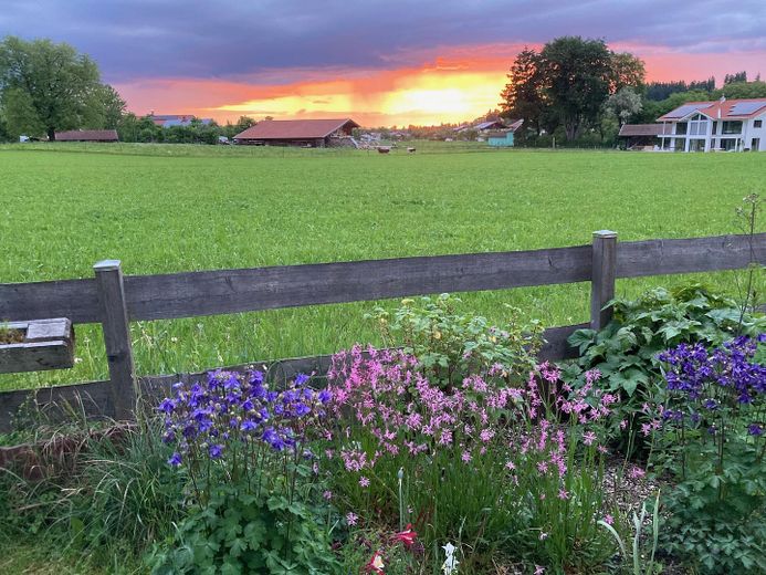 Garten abends