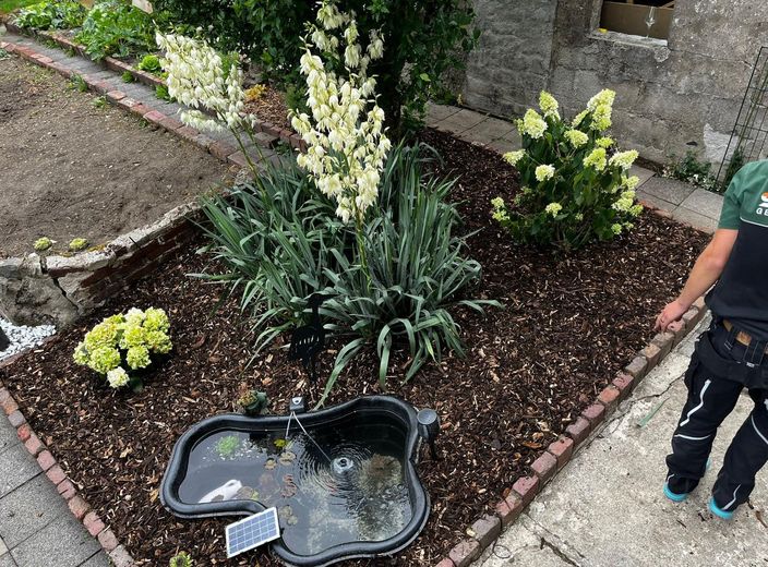 Appartement de 4 pièces avec cuisine équipée et jardin à louer ! Animaux domestiques autorisés ! – Photo 8