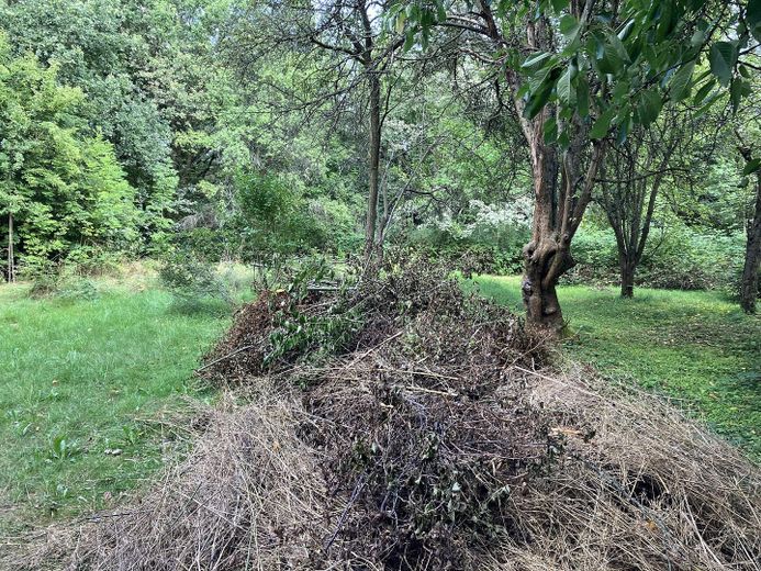terreno non edificato a Freiberg - senza commissioni – Richtung Süd-Ost 02