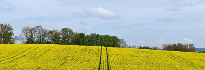 Traumhafter Panoramablick | 276 m² | PV & Speicher | bezugsbereit | provisionsfrei
