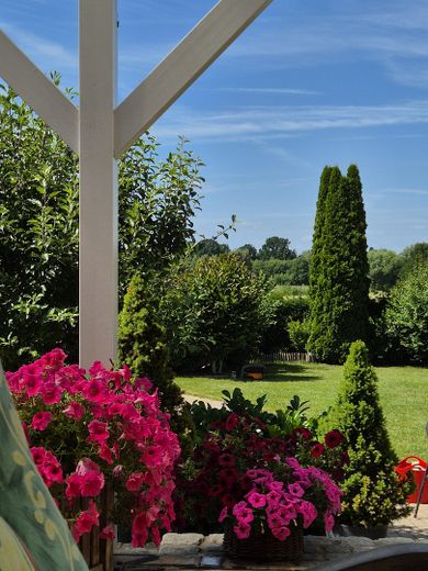 Mansarddachhaus mit Einliegerbereich zum Kauf – Blick Terrasse in den Garten