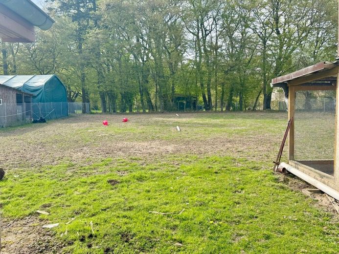 HORN IMMOBILIEN ++ Haus mit Doppelgarage und Nebengebäude in Wodarg bei Altentreptow, ruhige Lage – das Grundstück