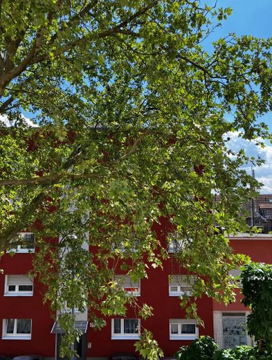Sonnige 2-Zimmer Altbauwohnung mit Flair und viel Potential – Blick Richtung Straße