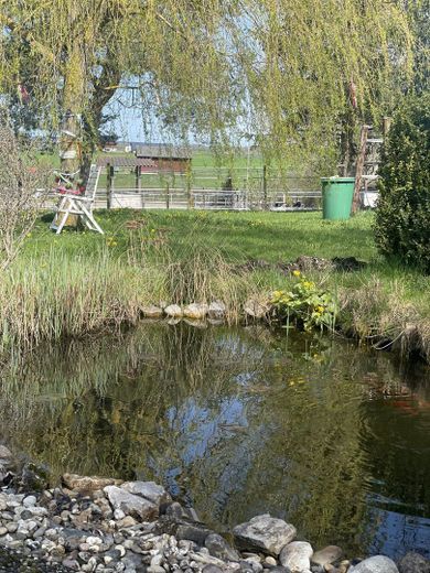 Idyllischer Teich im Garten