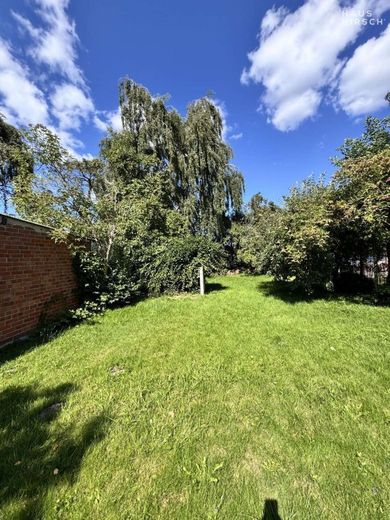 Gut gelegenes Baugrundstück in Travemünde (mit Altbestand) – Garten