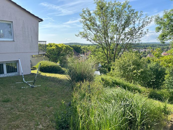 Garten 4