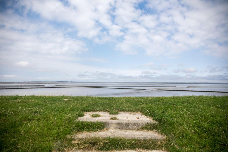 Vermietete Denkmal-FeWo am Nordseedeich – 4,95★, provisionsfrei, ~250 Nächte/Jahr – Foto 26
